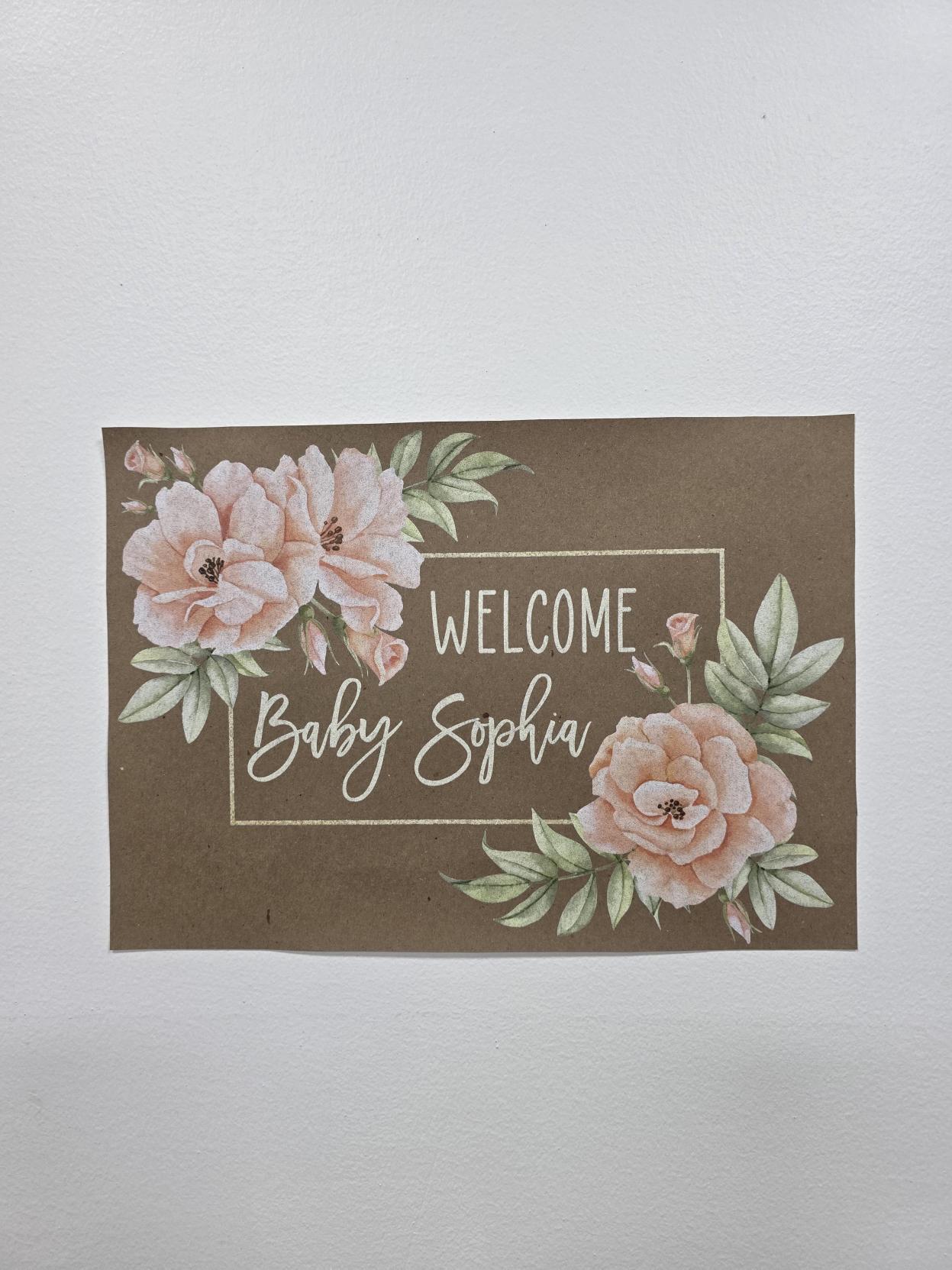 Custom Paper Banner | One Silly Goose